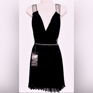 Bebe Pleated Tulle Dress